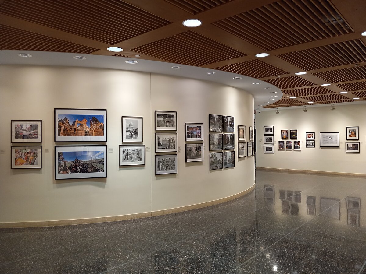 An installation view of photographs installed along curved manilla-colored walls.