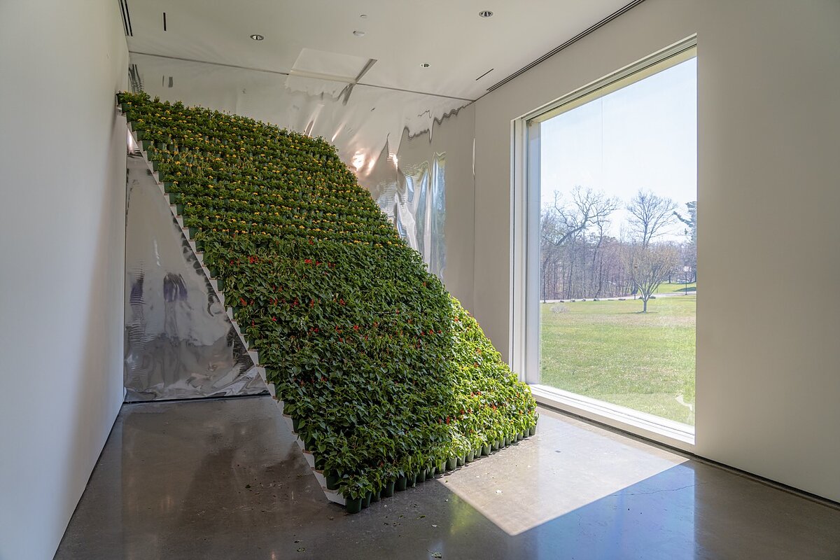A wall of yellow and red flowers leans precariously in a sunny gallery.