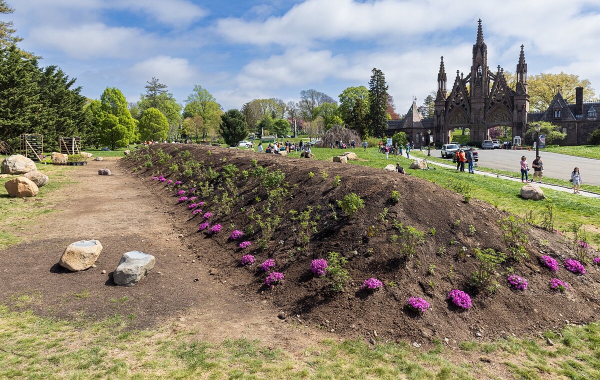 A giant rectangular mound of dirt with purple and green plants planted into it in a park. 